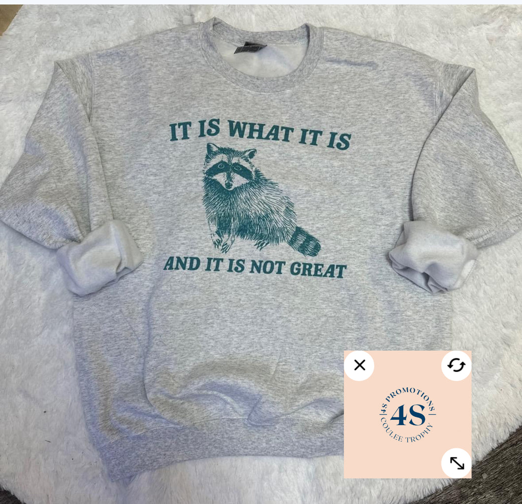 It is what it is… (Pre-order)