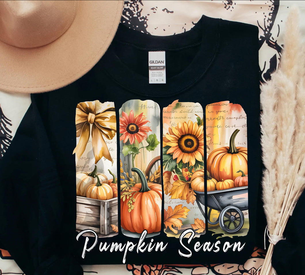 Pumpkin Season